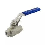 Ball Valve 1/4" FPT SS