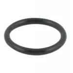 O-Ring, Coupler Probe Body ABECO
