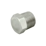 Hex Head Plug 1/4" MPT SS