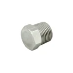 Hex Head Plug 1/4" MPT SS