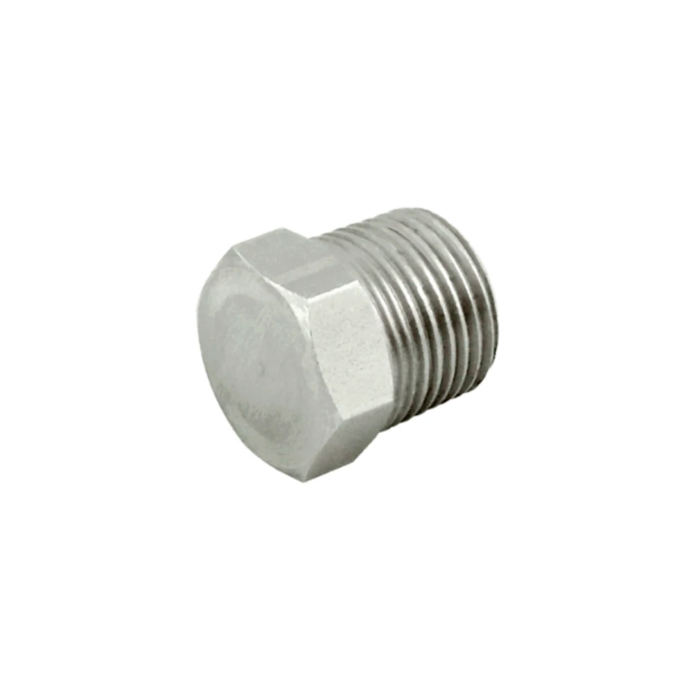 aa-05404.webp Hex Head Plug 1/4" MPT SS - Image 1